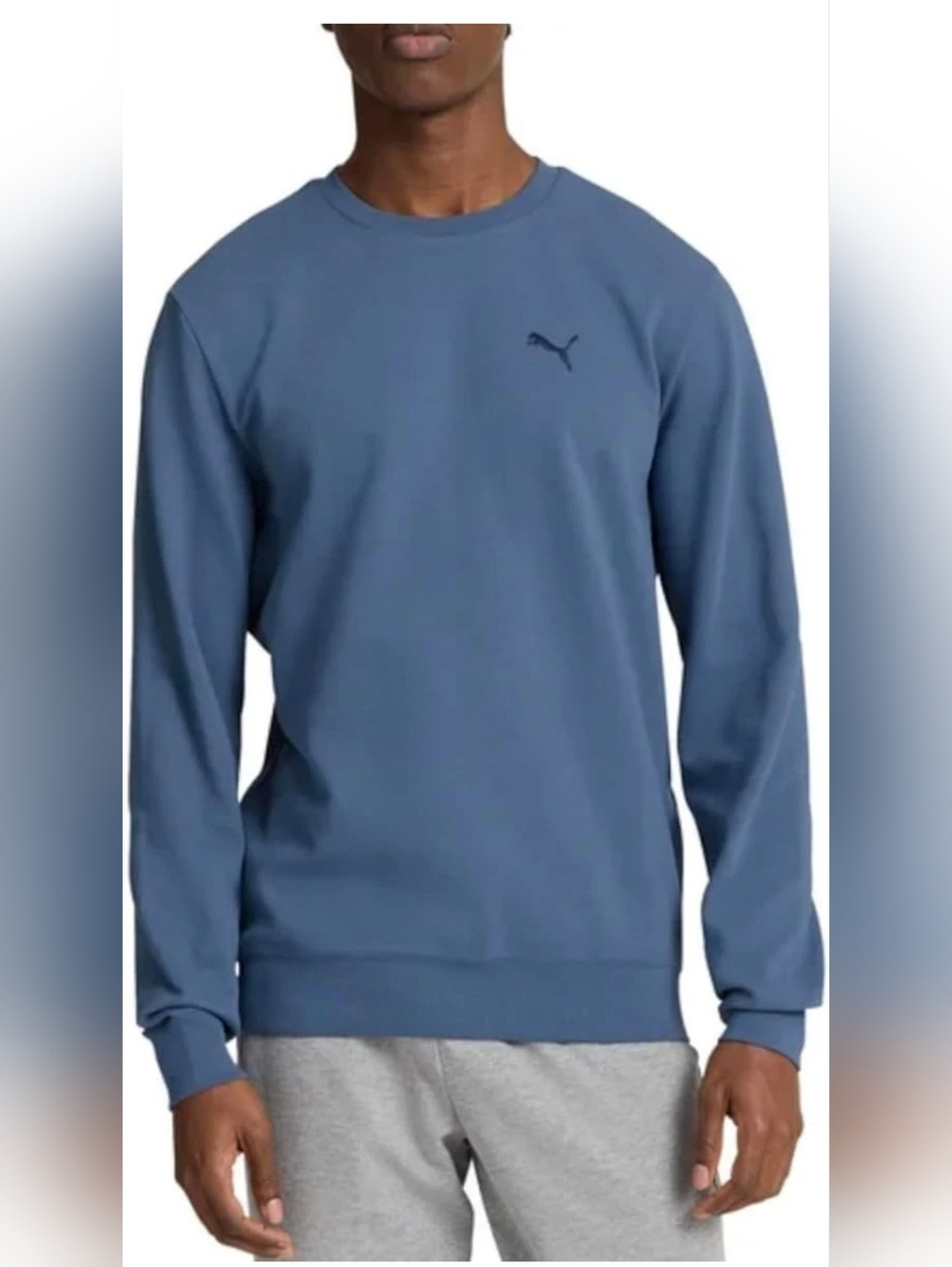 Puma Men's Crewneck Sweatshirt in Slate Blue